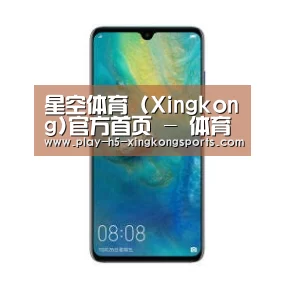 华为无线快充手机