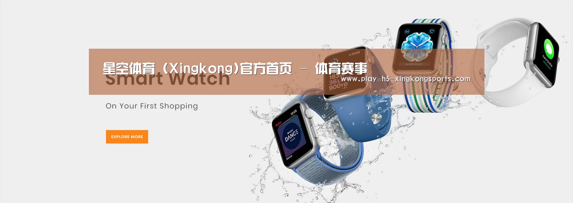 某某网络科技有限公司