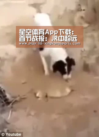 星空体育在线登陆